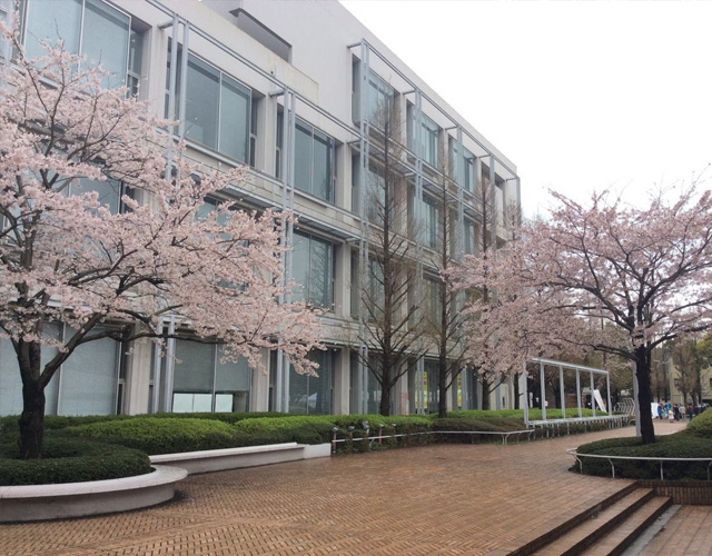 北九州市立大学